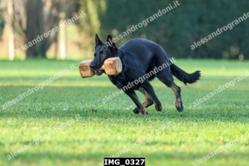 IMG_0327.jpg