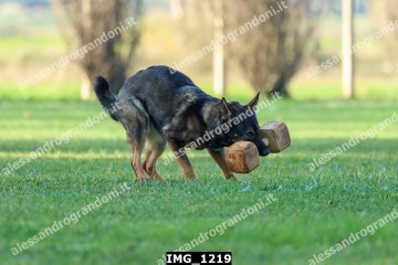 IMG_1219.jpg