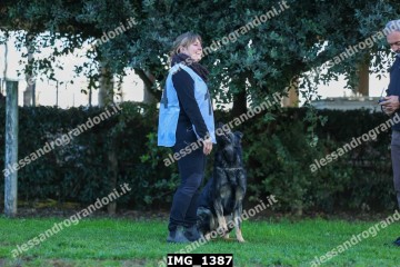 IMG_1387.jpg