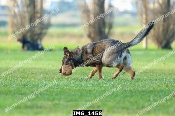 IMG_1458.jpg