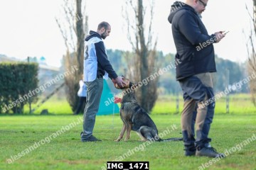 IMG_1471.jpg