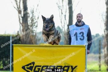 IMG_1482.jpg