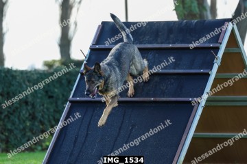 IMG_1534.jpg