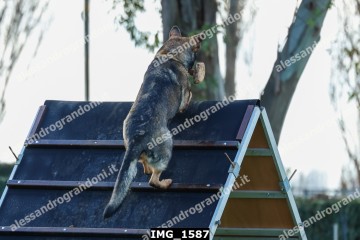 IMG_1587.jpg