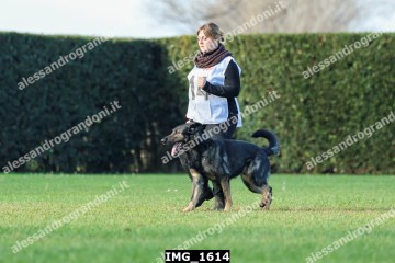 IMG_1614.jpg