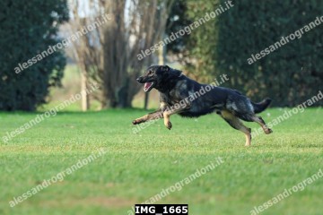 IMG_1665.jpg
