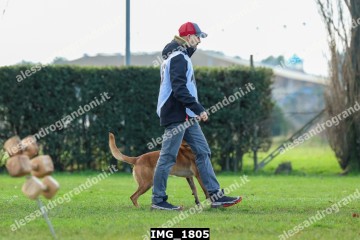 IMG_1805.jpg