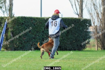 IMG_1865.jpg