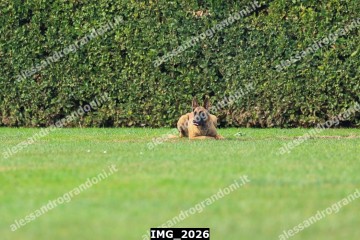 IMG_2026.jpg