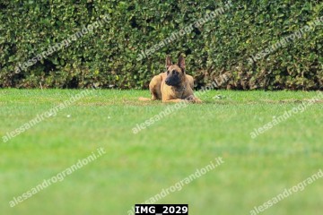 IMG_2029.jpg