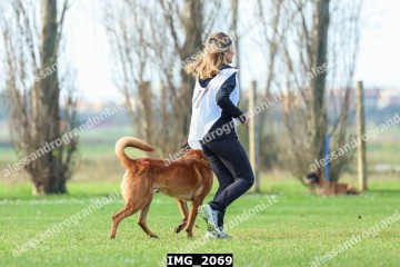IMG_2069.jpg