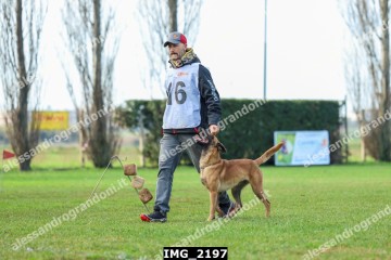 IMG_2197.jpg
