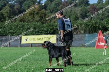 IMG_0013.jpg