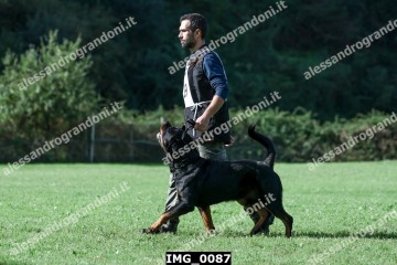 IMG_0087.jpg