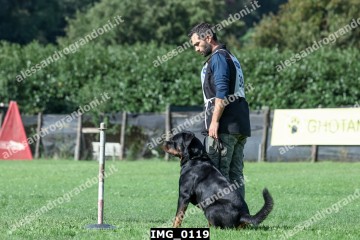 IMG_0119.jpg