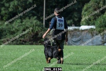 IMG_0136.jpg