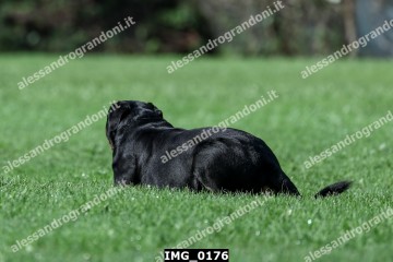 IMG_0176.jpg