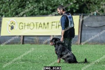 IMG_0182.jpg
