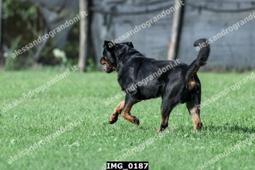 IMG_0187.jpg