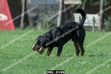 IMG_0196.jpg