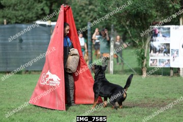 IMG_7585.jpg