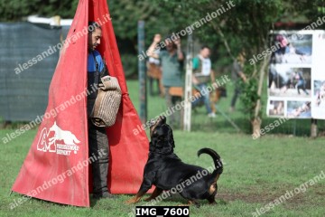 IMG_7600.jpg