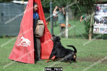 IMG_7619.jpg