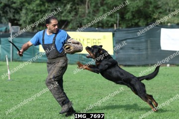 IMG_7697.jpg