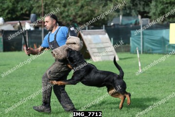 IMG_7712.jpg