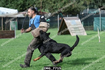 IMG_7715.jpg