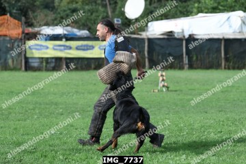 IMG_7737.jpg