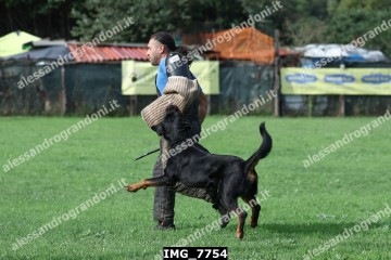 IMG_7754.jpg
