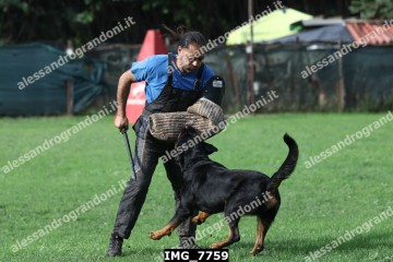 IMG_7759.jpg