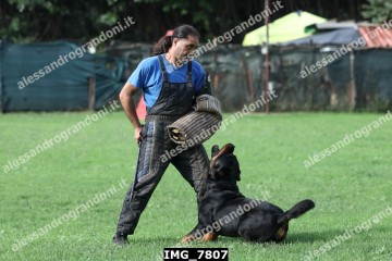 IMG_7807.jpg
