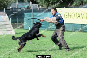 IMG_7864.jpg