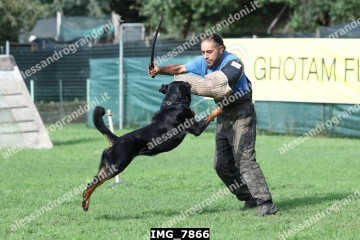 IMG_7866.jpg