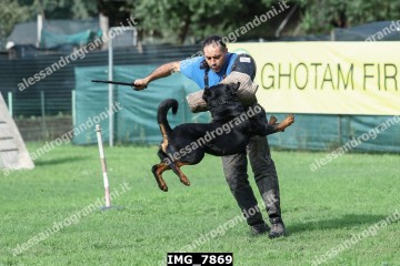 IMG_7869.jpg
