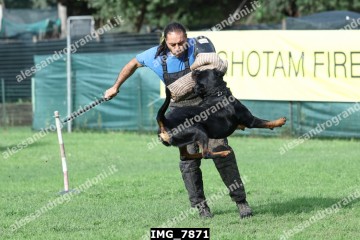 IMG_7871.jpg