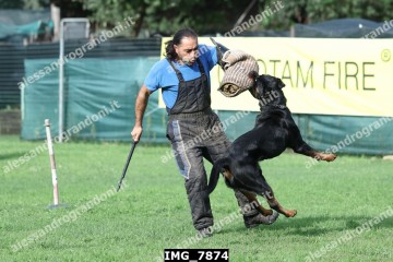 IMG_7874.jpg