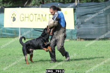 IMG_7912.jpg