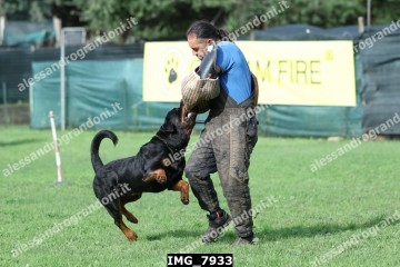 IMG_7933.jpg