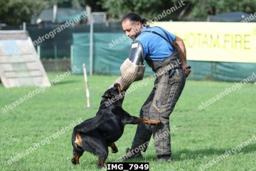 IMG_7949.jpg