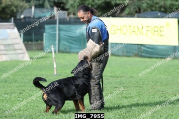 IMG_7955.jpg