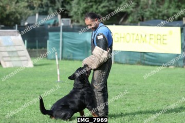 IMG_7969.jpg