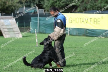 IMG_7980.jpg