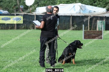 IMG_8018.jpg