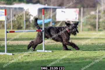 IMG_2135 (2).jpg