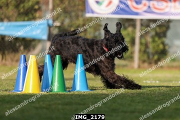 IMG_2179.jpg