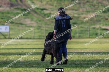 IMG_2252.jpg