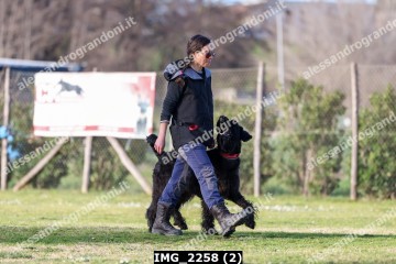 IMG_2258 (2).jpg